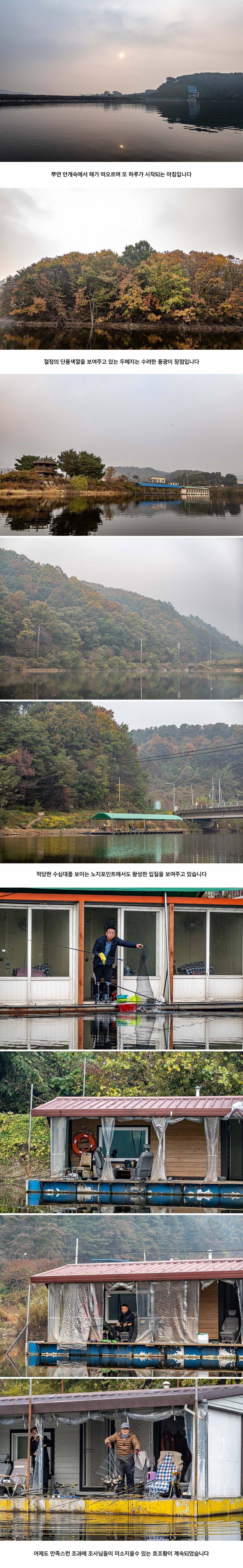 안성 두메낚시터 10월 28일 조황정보 (유료터정보 - 유료터점주조황)