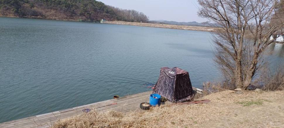 어우실지 입질이좋아요 상류는이른듯합니다 (유료터정보 - 유료터점주조황)