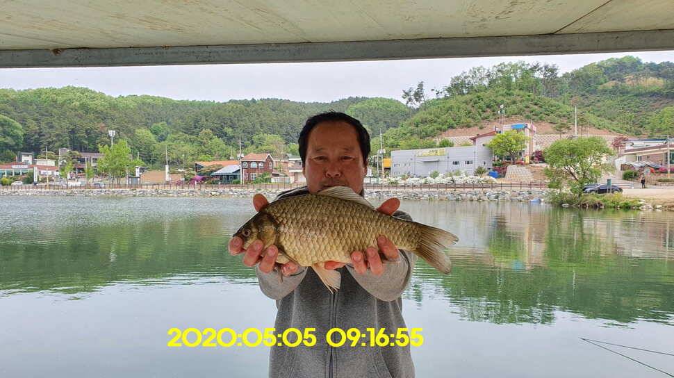 신원낚시터5월15일 토종대물 덩어리 사진입니다 (유료터정보 - 유료터점주조황)