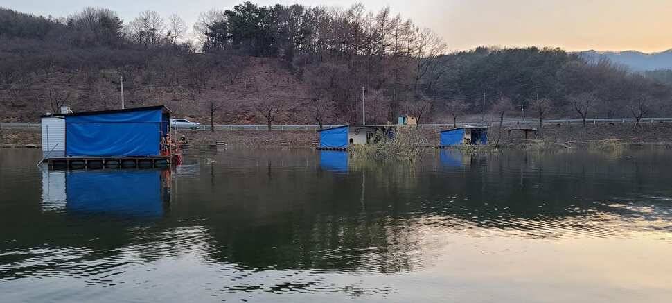 공주 고성낚시터 입니다 (유료터정보 - 유료터점주조황)