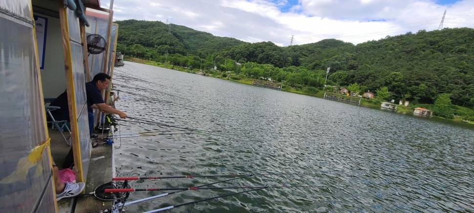 휴가 피서낚시 양평 수곡낚시터 금요일토요일 조황 붕어방류 (유료터정보 - 유료터점주조황)