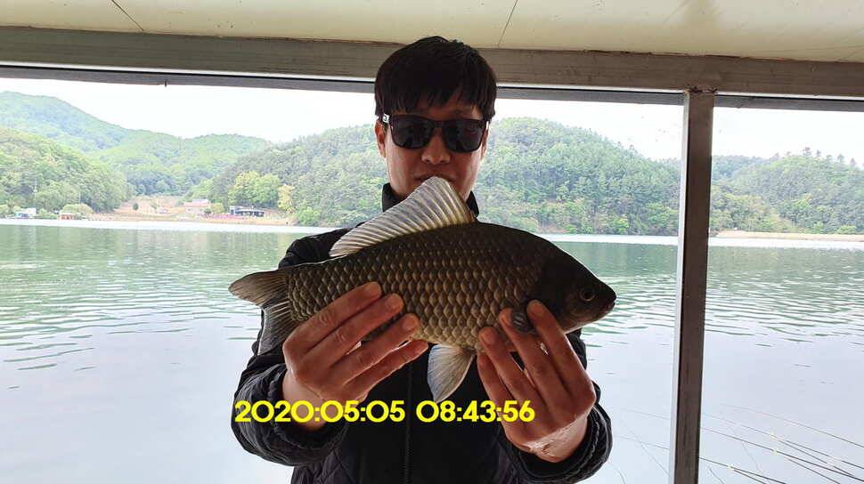 신원낚시터5월15일 토종대물 덩어리 사진입니다 (유료터정보 - 유료터점주조황)