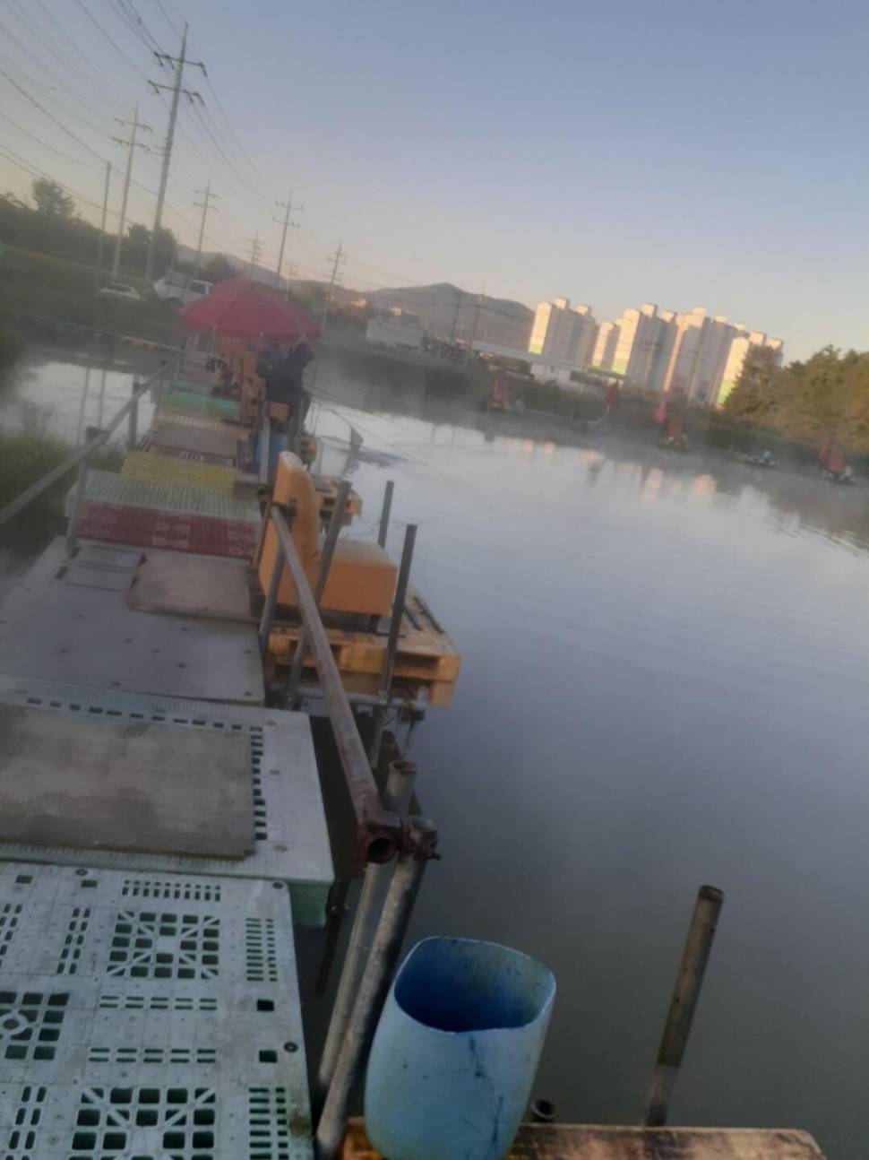 1미터 찌를 몸통까지 올려주는 경주동산낚시터 붕어들 (유료터정보 - 유료터점주조황)