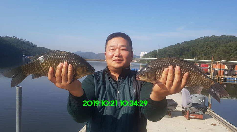 신원낚시터 토종48짜리가 또다시 나와주네요 (유료터정보 - 유료터점주조황)