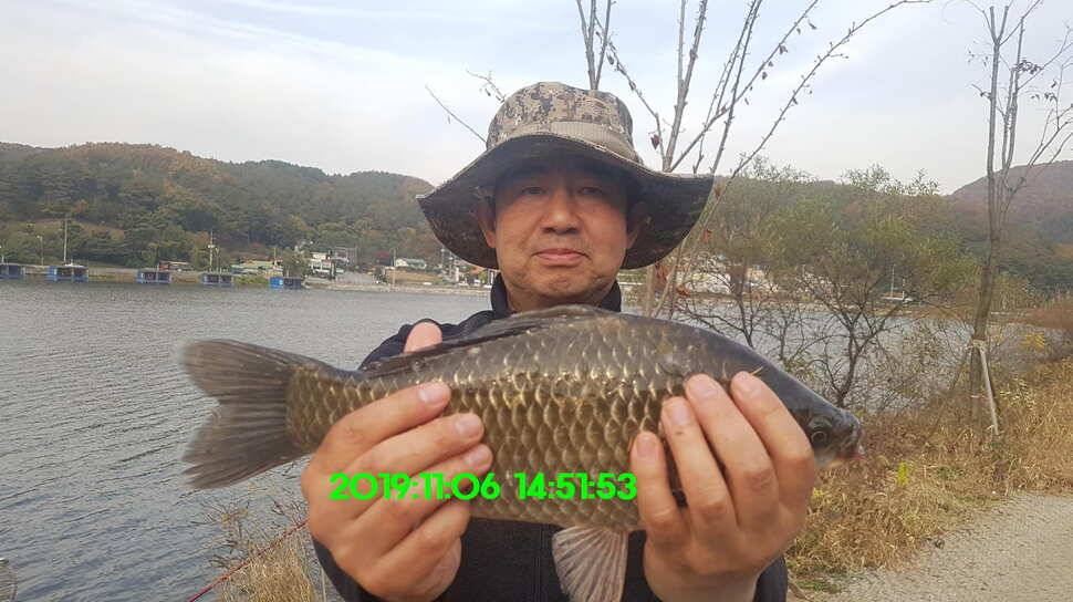 신원낚시터11월13일 토종붕어 방류와 조황 소식입니다 (유료터정보 - 유료터점주조황)