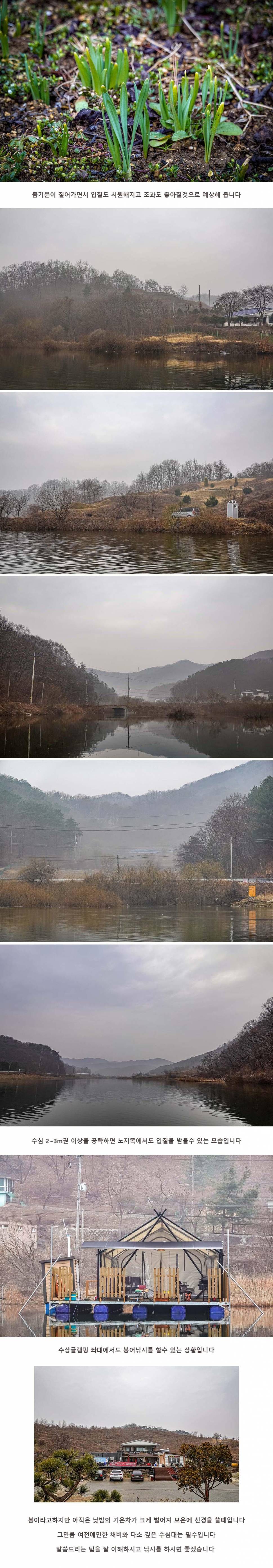 안성 두메낚시터 3월 12일 조황정보 (유료터정보 - 유료터점주조황)