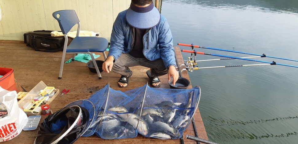 힐링 양평 수곡낚시터 101 첫날 붕어 조황 전포인트 조과 나오며 활성도 좋네요 오늘 붕어방류 완료 (유료터정보 - 유료터점주조황)