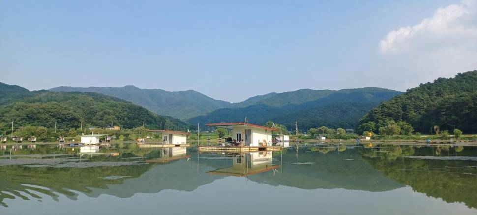 어우실지 주말만석에 감사합니다 무더위에도 입질이좋았다고 합니다 (유료터정보 - 유료터점주조황)