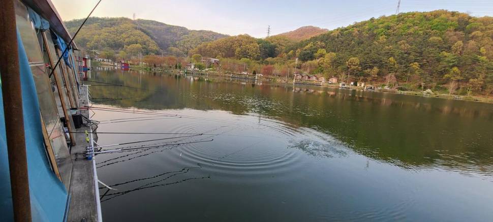 주중반 수목 힐링 수곡낚시터 괜찬은 조황이나 편차는 있었습니다 (유료터정보 - 유료터점주조황)
