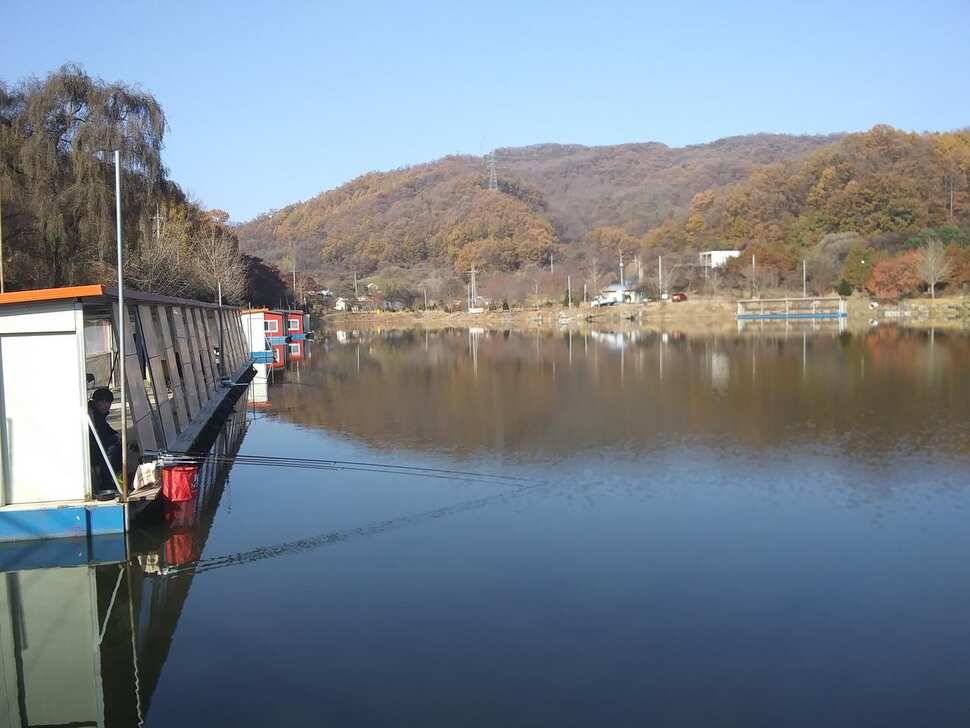 수곡낚시터 수상좌대 할인 행사 실시 자연산 토종붕어 방류 및 조황 안내 (유료터정보 - 유료터점주조황)