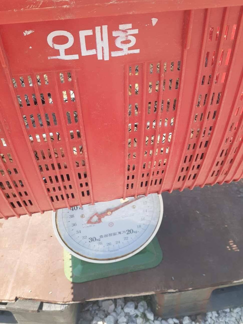 경주 동산낚시터붕어 전용잡이터지난주 조황 (유료터정보 - 유료터점주조황)