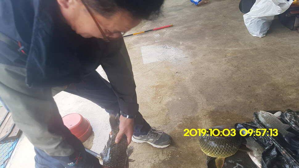 용인 신원낚시터 토종대물48짜리 구경하고 가시겠습니다 (유료터정보 - 유료터점주조황)