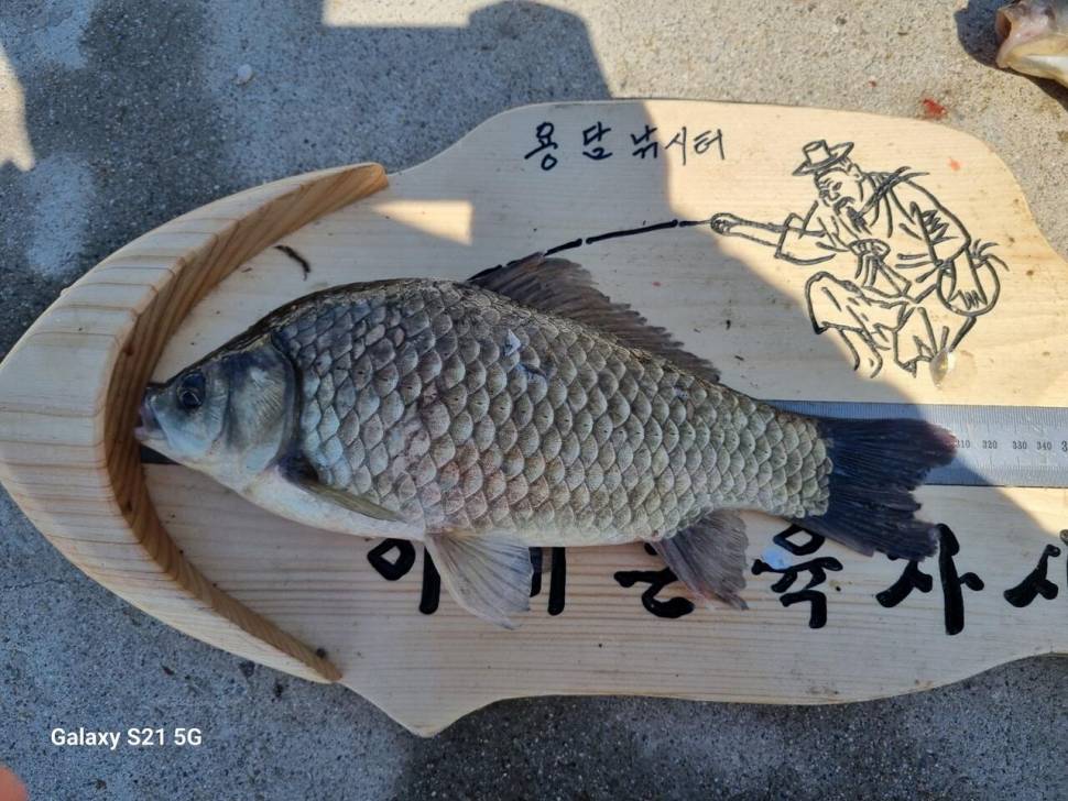 2024년 05월 둘째주 조황정보 용담낚시터사암지 (유료터정보 - 유료터점주조황)