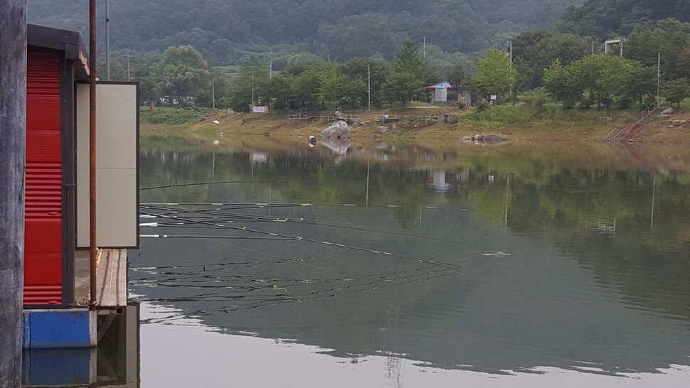 힐링 양평 수곡낚시터 추석연휴 무휴 개장 주말 조황 소식 및 붕어방류 안내 (유료터정보 - 유료터점주조황)
