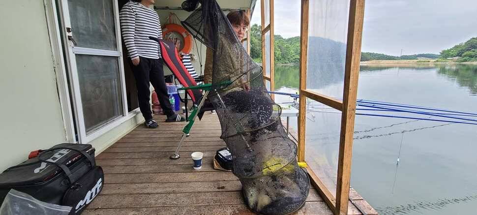 양평 지평 수곡낚시터 주말조황 5짜 붕어 포함 고르게 잘 나와주네요 (유료터정보 - 유료터점주조황)