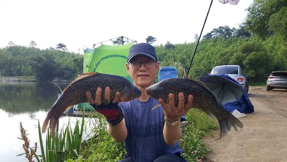 안성 회암지 조황정보 (유료터정보 - 유료터점주조황)