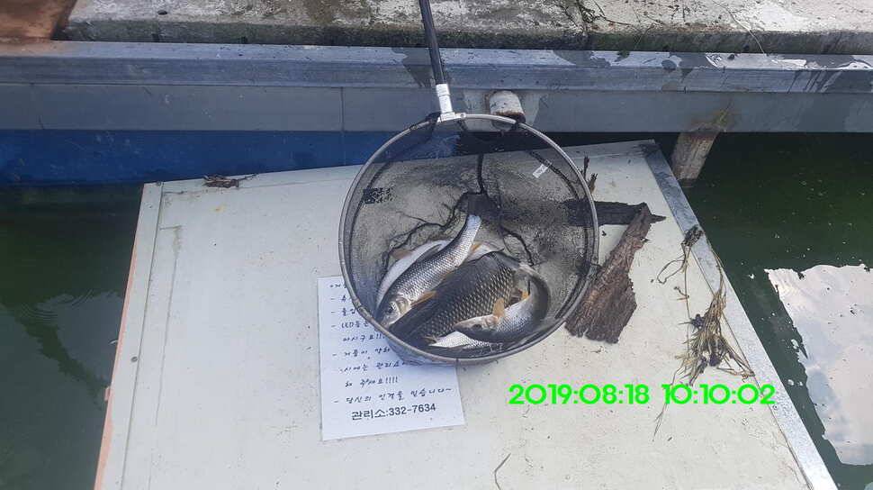 신원낚시터 8월20일 조황 소식입니다 (유료터정보 - 유료터점주조황)