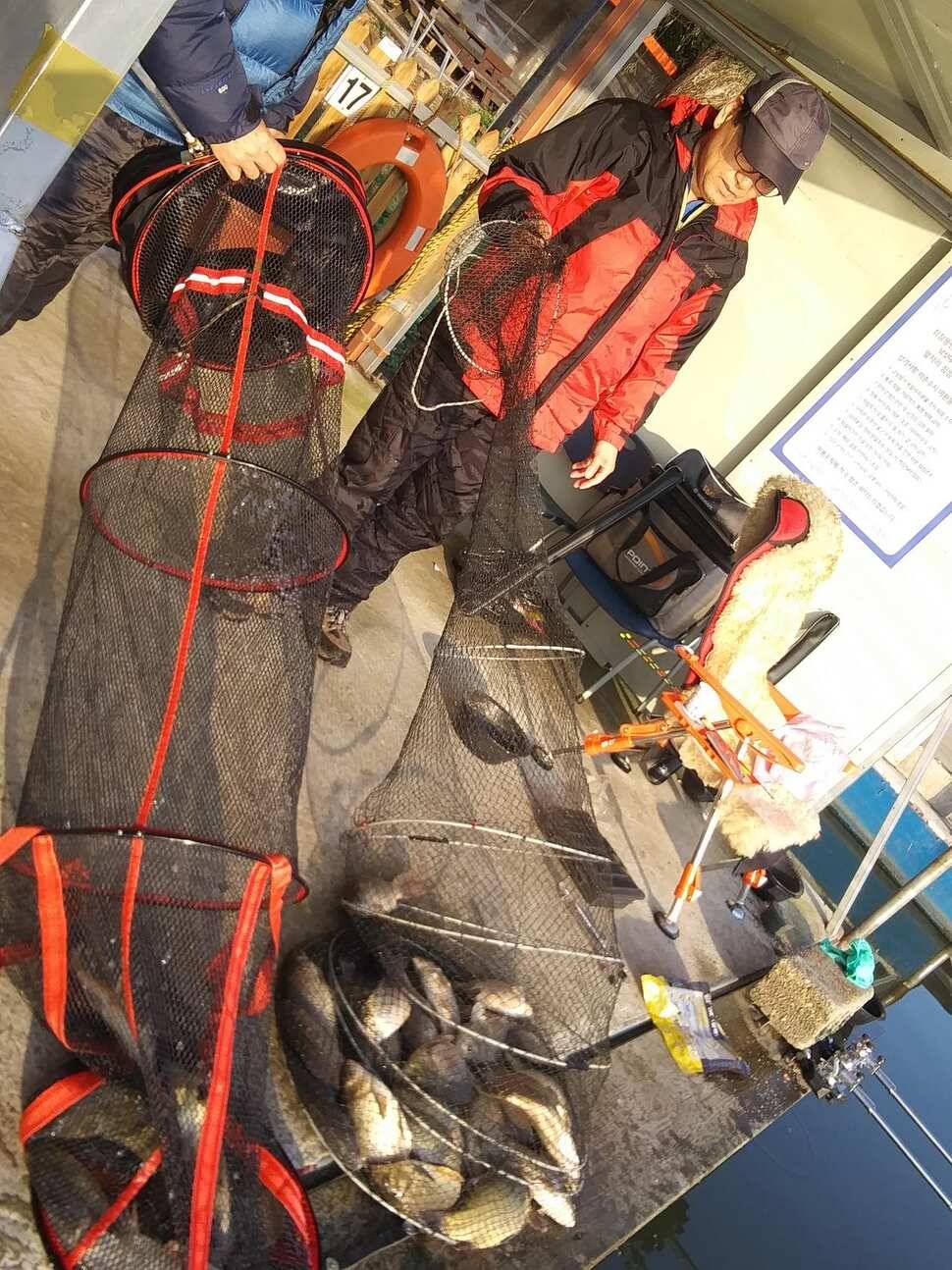 양평 힐링 수곡낚시터 바닥 토종대물 4짜 포함 붕어 마릿수도 꾸준히 늘어납니다 (유료터정보 - 유료터점주조황)