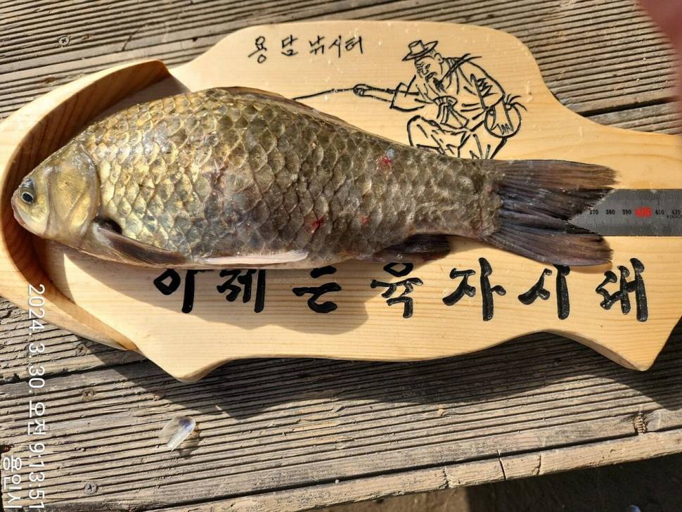 2024년 04월 첫째주 조황정보 용담낚시터사암지 이번주 4짜 5마리 (유료터정보 - 유료터점주조황)