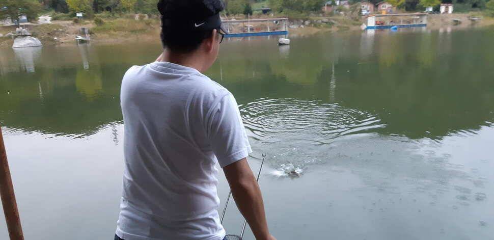 힐링 수곡낚시터 호조황이 큰편차없이 어제와 오늘도 이어지고 있습니다 (유료터정보 - 유료터점주조황)