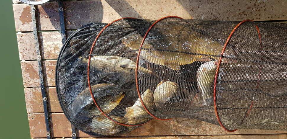 양평 수곡낚시터 수상좌대 할인기간 연장및 3월 첫주 주중 조황안내 (유료터정보 - 유료터점주조황)