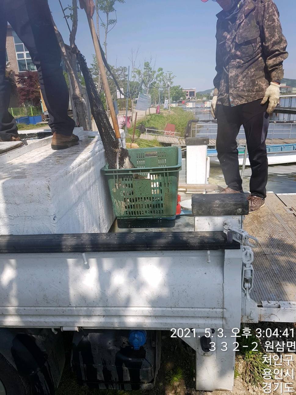 2021년 5월 둘째주 조황정보 용인 용담낚시터사암지 (유료터정보 - 유료터점주조황)