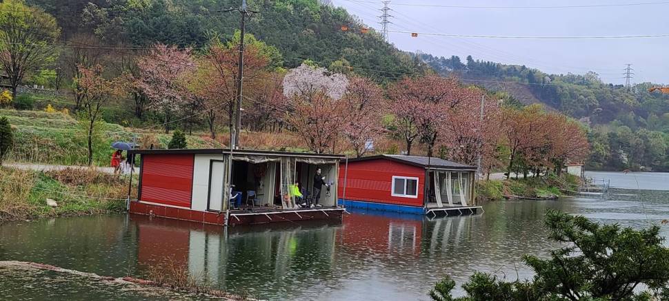 힐링 수곡낚시터 월화 주초조황 괜찬았으며 오늘 붕어 방류 (유료터정보 - 유료터점주조황)