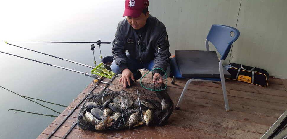 양평 수곡낚시터 9월28 오늘도 고르게 좋은 조황이 이어지고 있네요 오늘 붕어방류 완료하였습니다 (유료터정보 - 유료터점주조황)
