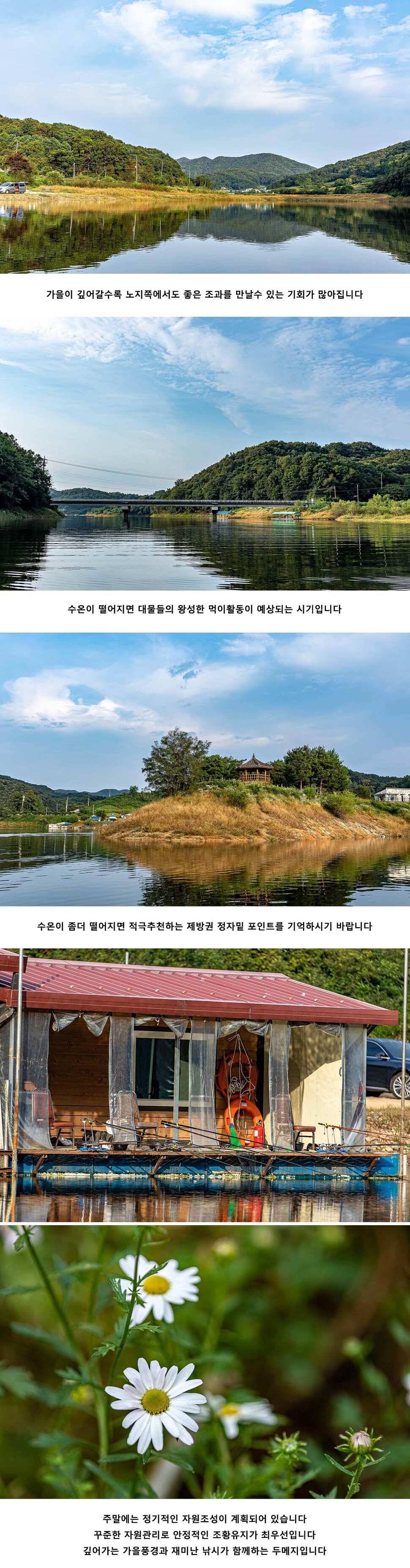 안성 두메낚시터 9월 27일 조황정보 (유료터정보 - 유료터점주조황)