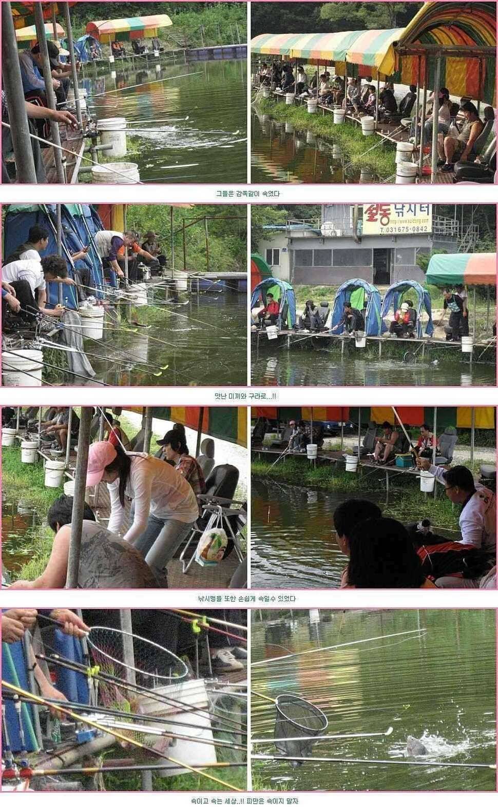맛난 미끼와 구라로 (유료터정보 - 유료터점주조황)