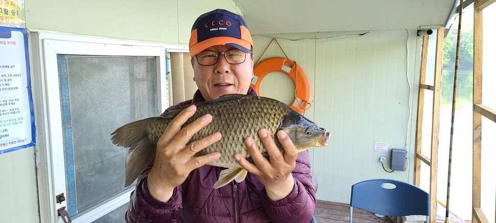 양평 수곡 낚시터 주중 조황도 꾸준합니다 오늘도 붕어방류 완료했습니다 (유료터정보 - 유료터점주조황)