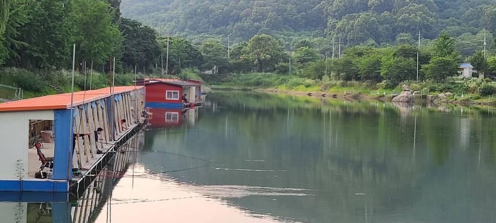 여름피서 수곡낚시터 수요일 주중 조황 및 금일 붕어방류 완료 (유료터정보 - 유료터점주조황)