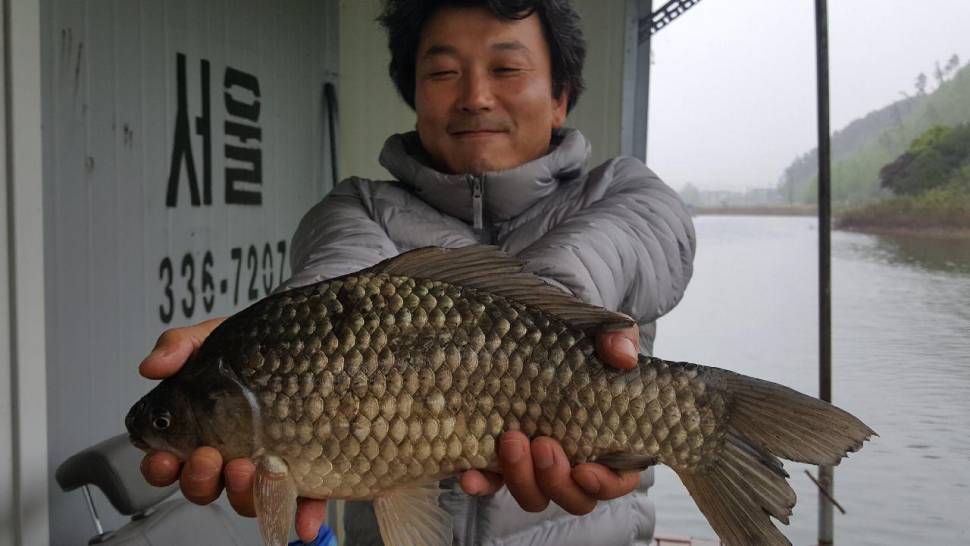 송전지서울집좌대5월10일조황 (유료터정보 - 유료터점주조황)
