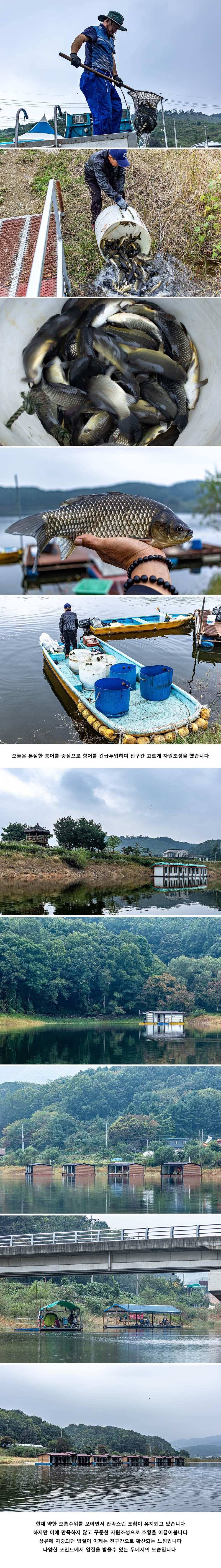 안성 두메낚시터 10월 5일 조황정보 (유료터정보 - 유료터점주조황)