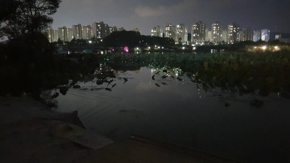아산 명품 월랑낚시터 10월 첫번째 조황이야기입니다 (유료터정보 - 유료터점주조황)