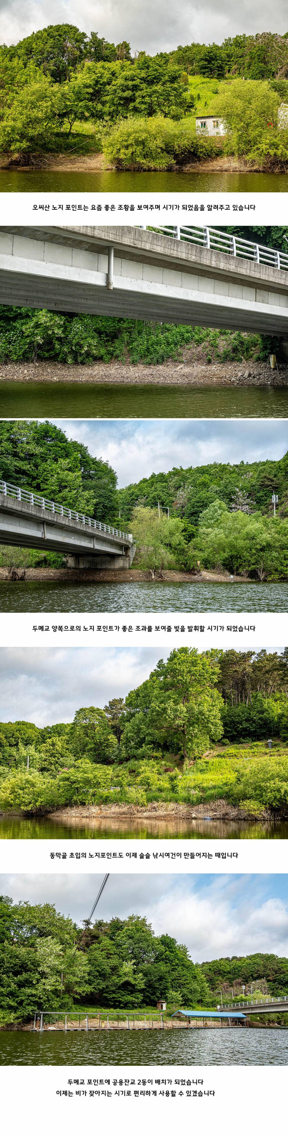 안성 두메낚시터 5월 20일 조황정보 (유료터정보 - 유료터점주조황)