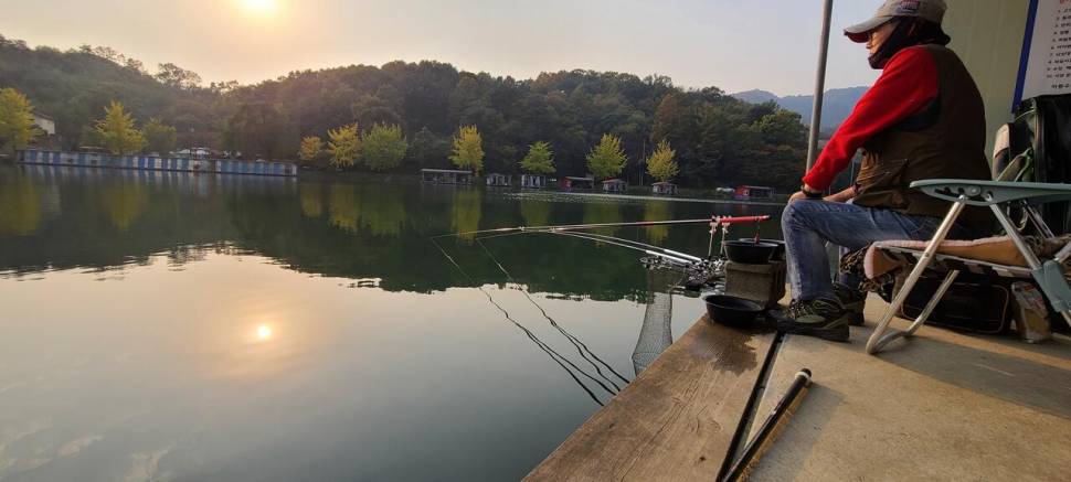 힐링양평 가을 수곡낚시터 월화요일 주초 조황 오늘 붕어방류 (유료터정보 - 유료터점주조황)