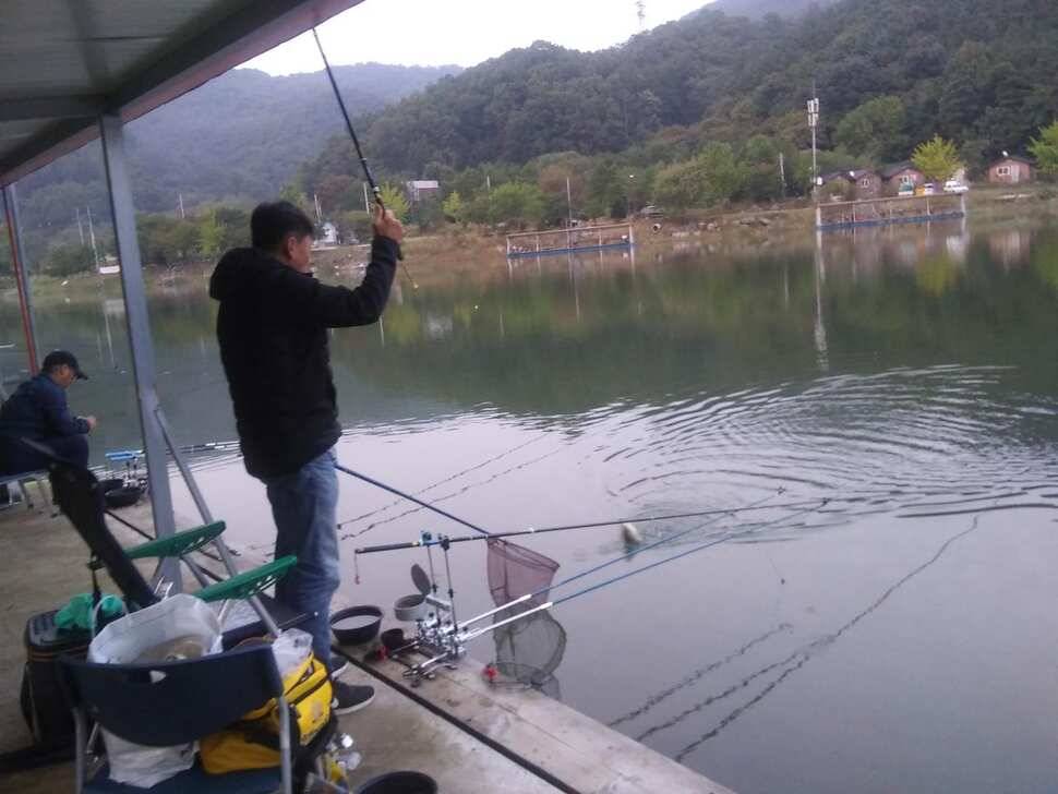 양평 수곡낚시터 붕어낚시 금요일 조황도 고르게 잘 나와주네요 오늘 붕어 방류 완료 (유료터정보 - 유료터점주조황)