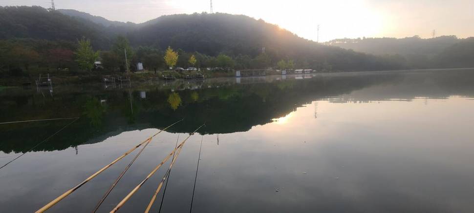 즐거운 한가위 보내세요 양평 힐링 수곡낚시터 화요일 조황 오늘 붕어 방류 (유료터정보 - 유료터점주조황)