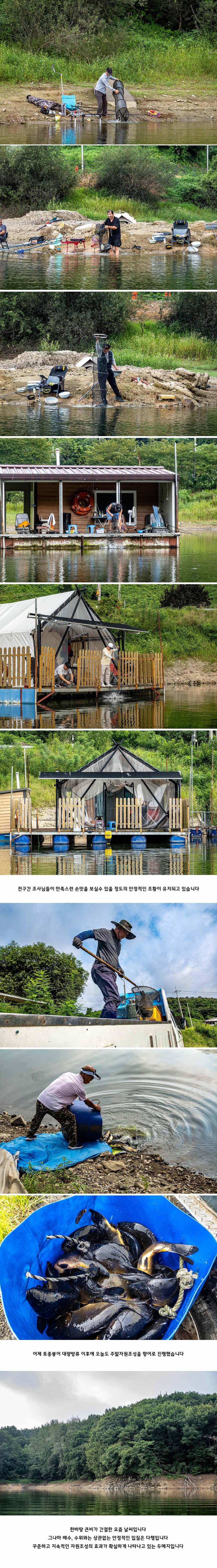 안성 두메낚시터 8월 30일 조황정보 (유료터정보 - 유료터점주조황)