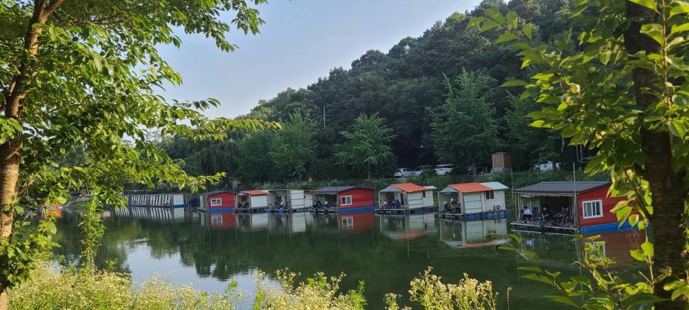 여름 민물 붕어낚시 수곡낚시터 목요일도 편차는 있으나 꾸준한 조황이네요 (유료터정보 - 유료터점주조황)