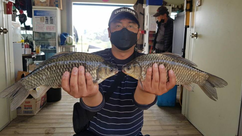 고삼지 상류권 본격산란중 사짜붕어 조황 (유료터정보 - 유료터점주조황)