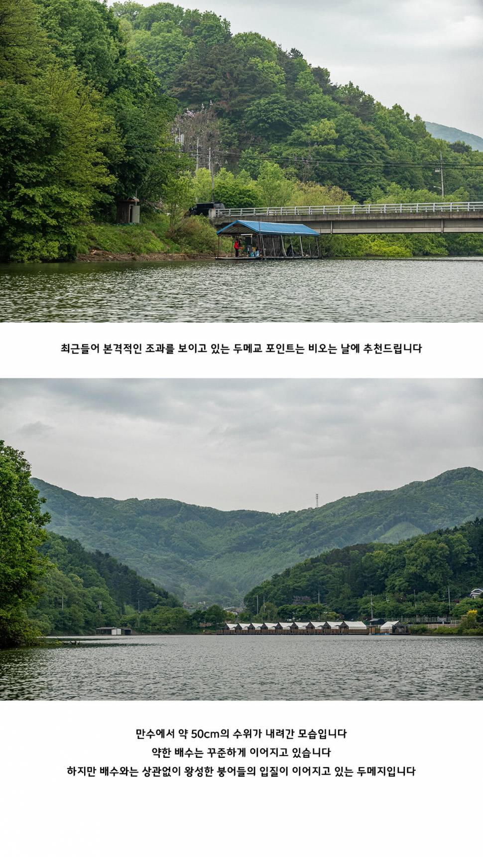 안성 두메낚시터 5월 9일 조황정보 (유료터정보 - 유료터점주조황)