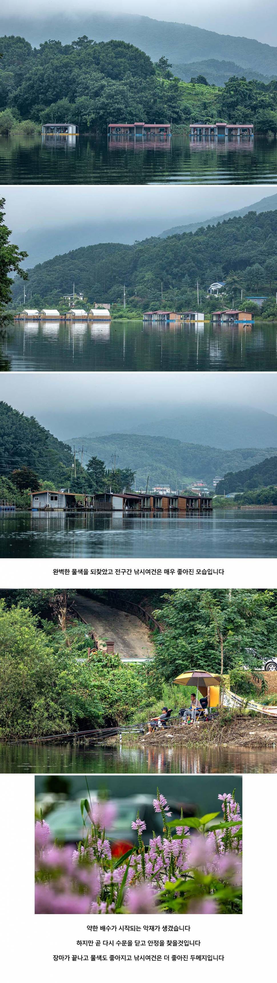 안성 두메낚시터 8월 17일 조황정보 (유료터정보 - 유료터점주조황)