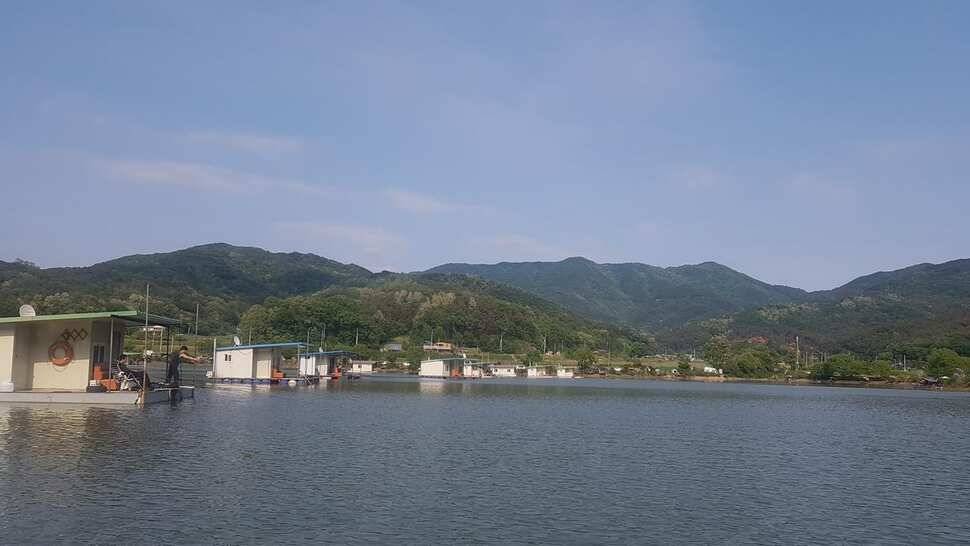 주말조황이 좋았담니다 동호회에서 많이 참석 하셨읍니다 월척30수 4짜10수 정도 나왔네요 (유료터정보 - 유료터점주조황)