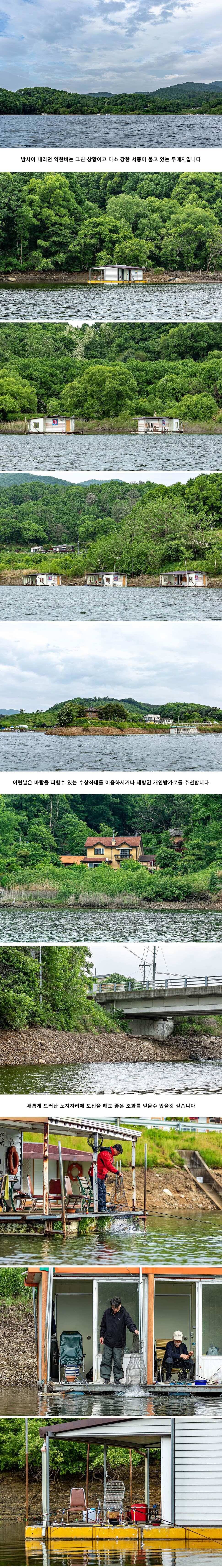 안성 두메낚시터 5월 20일 조황정보 (유료터정보 - 유료터점주조황)