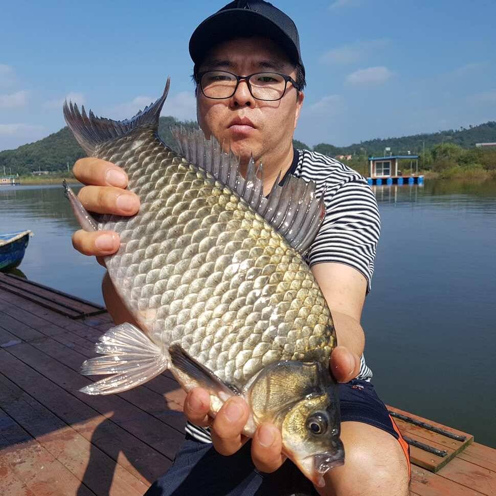 나도 프로 입니다ㅋㆍㅋ (유료터정보 - 유료터점주조황)