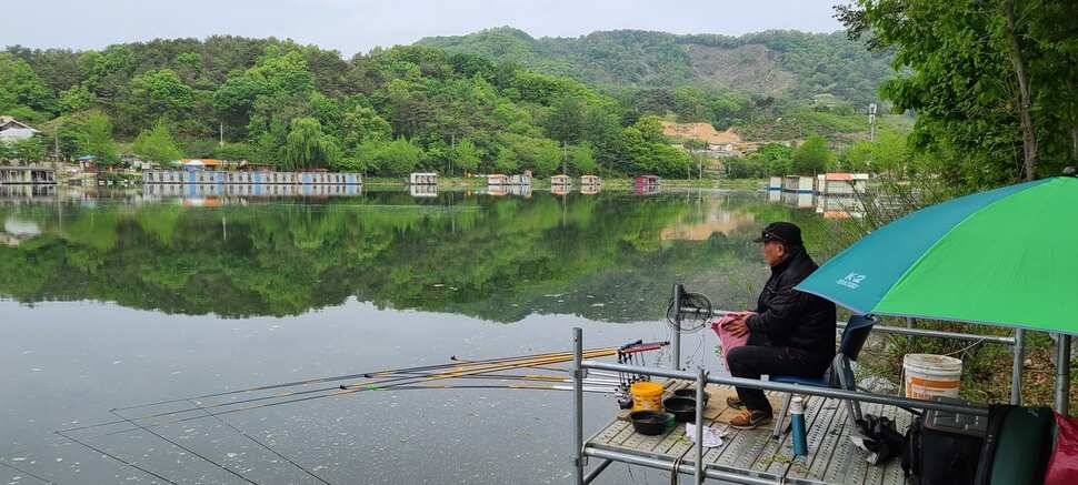 양평 수곡 낚시터 붕어 활성도가 좀더 좋아지는거 같네요 오늘도 붕어방류 합니다 (유료터정보 - 유료터점주조황)