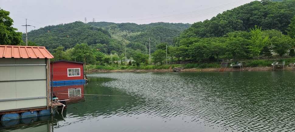 양평낚시터 수곡낚시터 주중조황 고른편이나 편차는 있네요 (유료터정보 - 유료터점주조황)