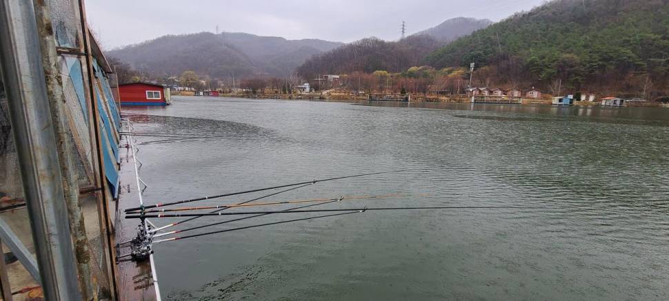초봄시즌 힐링 수곡낚시터 주말 조황 및 붕어 방류 (유료터정보 - 유료터점주조황)